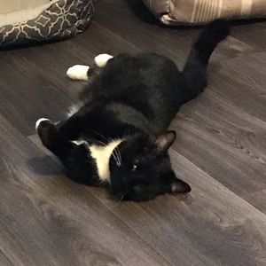 Meet your Posher, Mallory